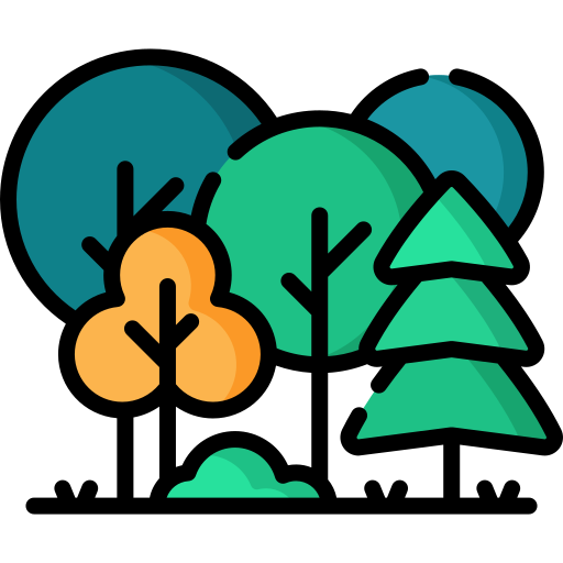 숲 Special Lineal color icon