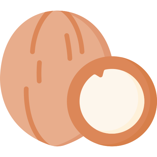 ココナッツ Special Flat icon