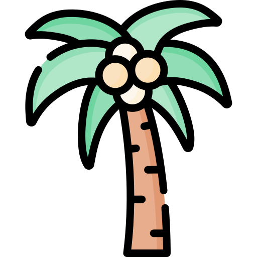 kokosnussbaum Special Lineal color icon