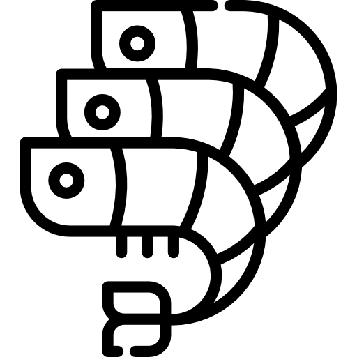 garnelen Special Lineal icon