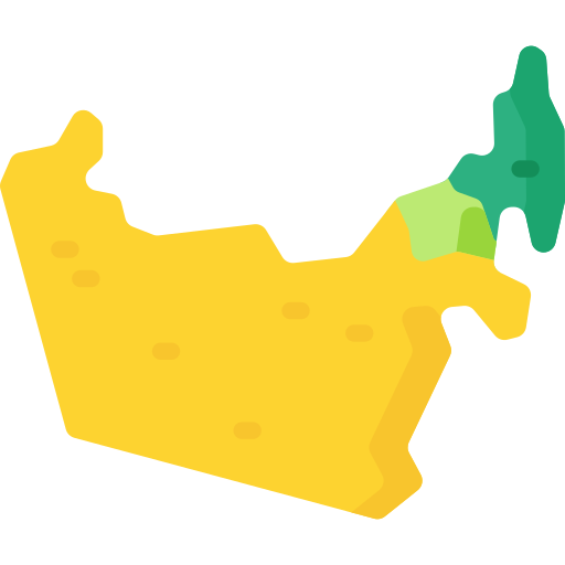 Объединенные Арабские Эмираты Special Flat иконка