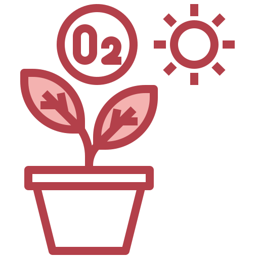 fotosíntesis Surang Red icono