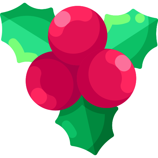 Mistletoe Special Shine Flat icon