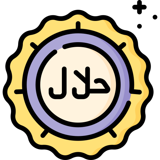 halal Special Lineal color icono