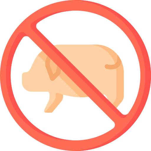 schweinefleisch Special Flat icon