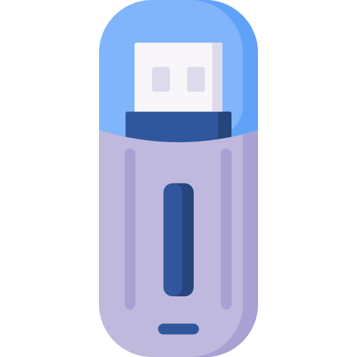 flash-disk Special Flat icon