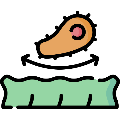 tejido antibacteriano Special Lineal color icono