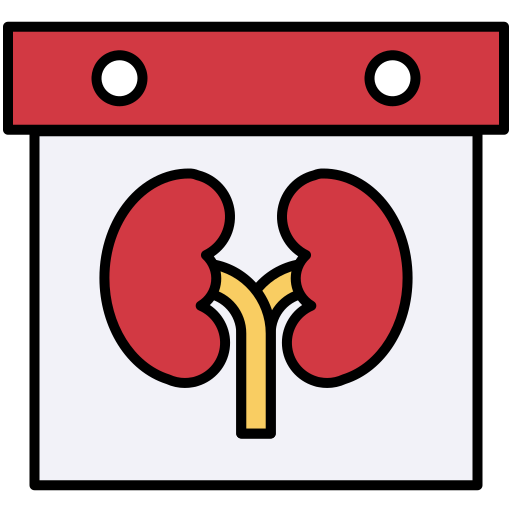 riñón Generic Outline Color icono