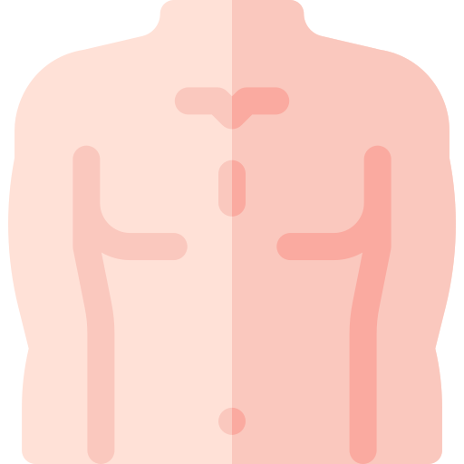 cuerpo masculino Basic Rounded Flat icono