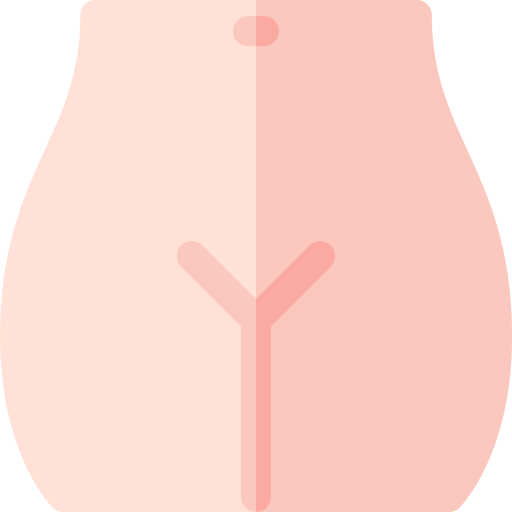 pubis Basic Rounded Flat icono