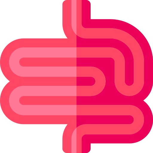intestino Basic Rounded Flat icono