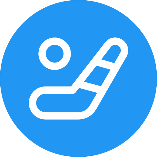 하키 퍽 Generic Flat icon