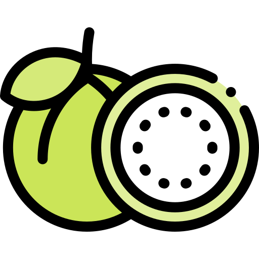 Guava Detailed Rounded Lineal color icon