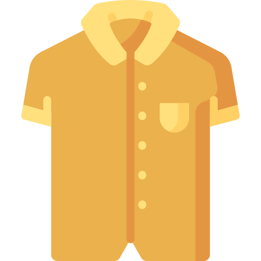 camisa Special Flat icono