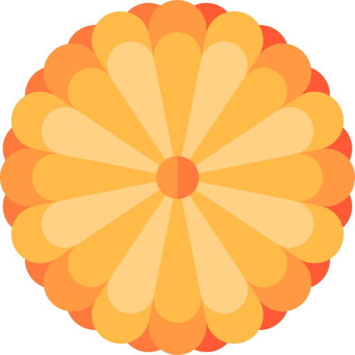 Chrysanthemum Special Flat icon