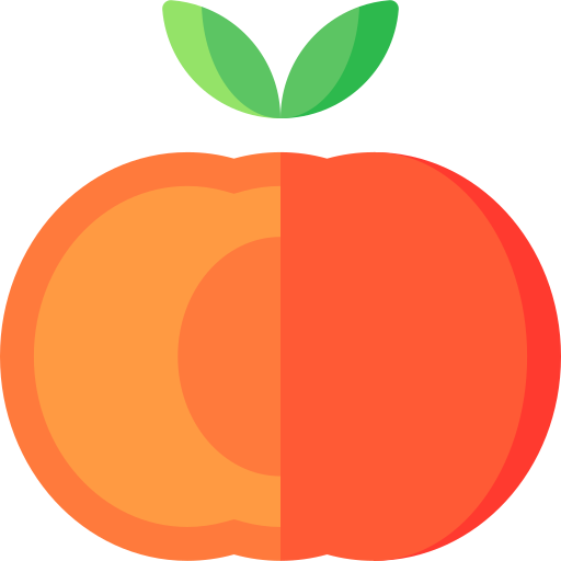 Persimmon Special Flat icon