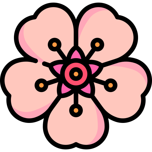 kirschblüte Special Lineal color icon