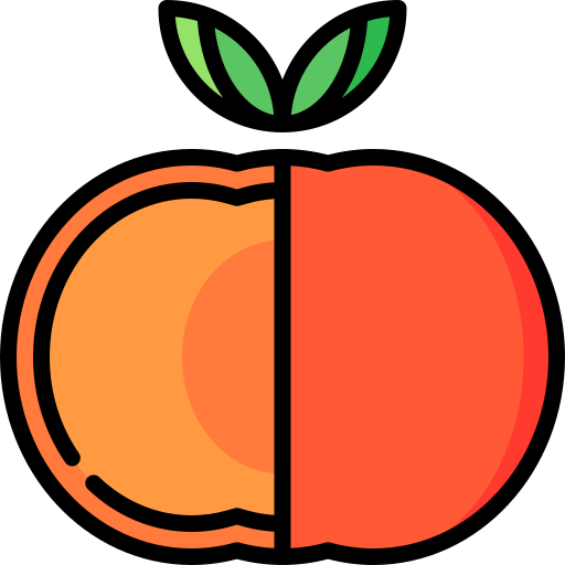persimmon Special Lineal color icon
