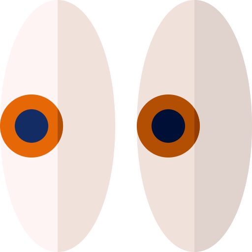 ojos Basic Rounded Flat icono