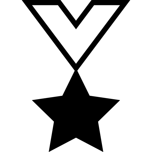 Star medal  icon