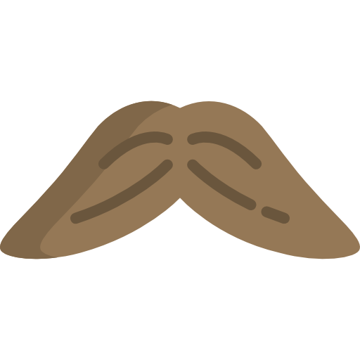 bigote Special Flat icono