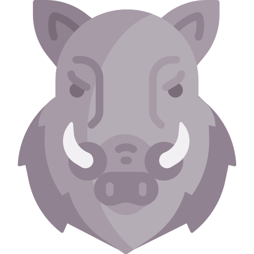 Wild boar Special Flat icon
