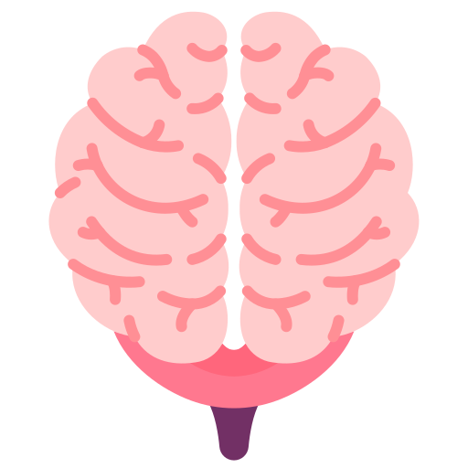 Brain Victoruler Flat icon