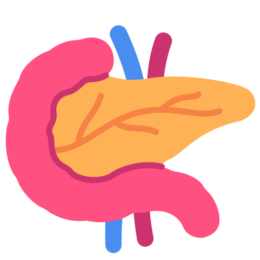 pancreas Victoruler Flat icona
