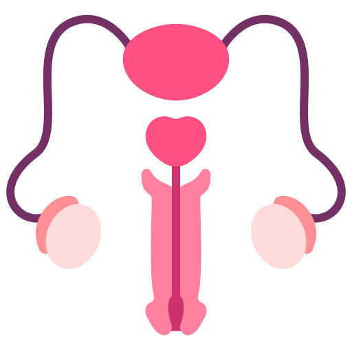 Reproductive system Victoruler Flat icon