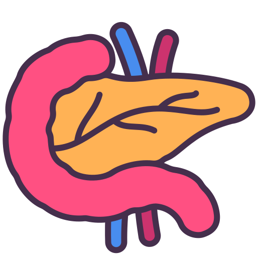 膵臓 Victoruler Linear Colour icon