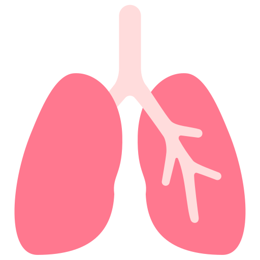 Lungs Victoruler Flat icon