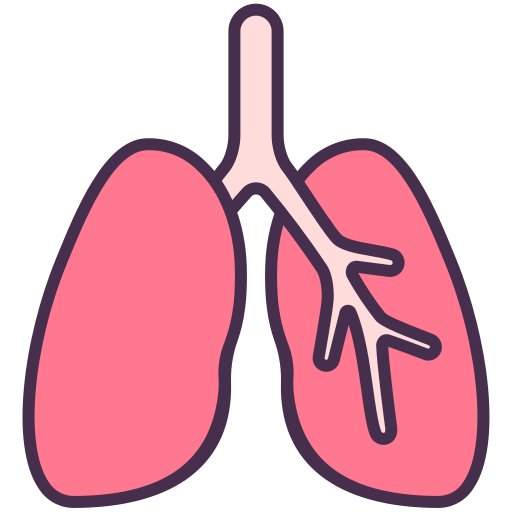 Lungs Victoruler Linear Colour icon