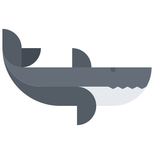 Shark Coloring Flat icon