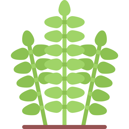 Seaweed Coloring Flat icon