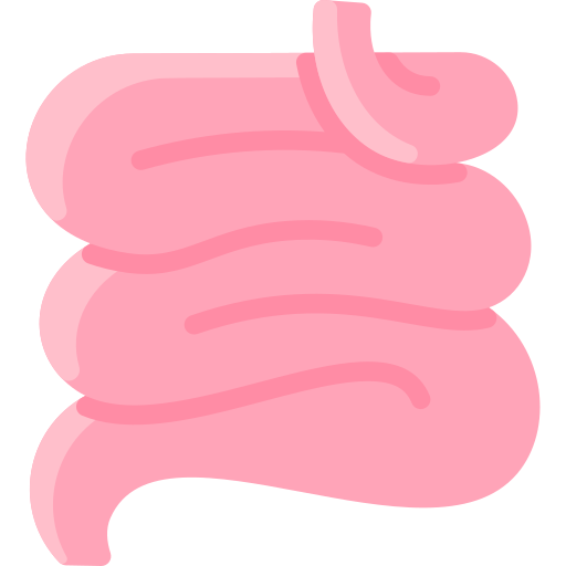 intestino delgado Vitaliy Gorbachev Flat icono