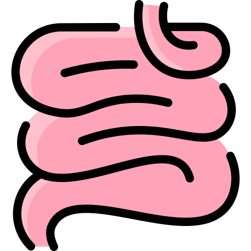 intestino delgado Vitaliy Gorbachev Lineal Color icono
