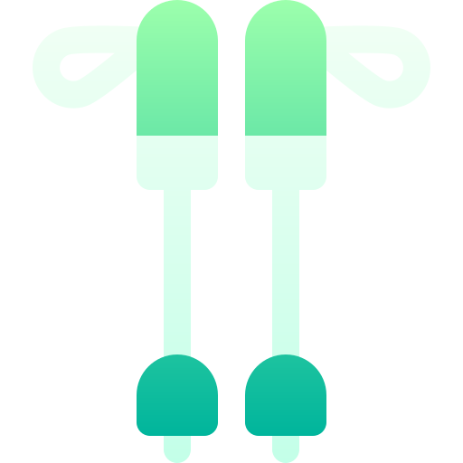 Лыжные палки Basic Gradient Gradient иконка