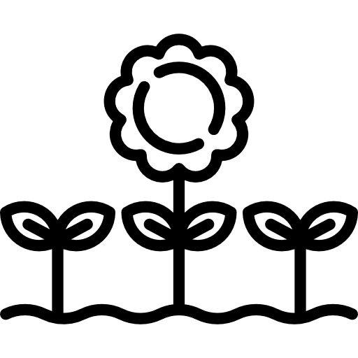 girasol Special Lineal icono