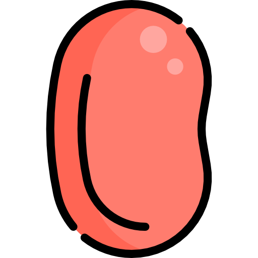 Jelly beans Special Lineal color icon