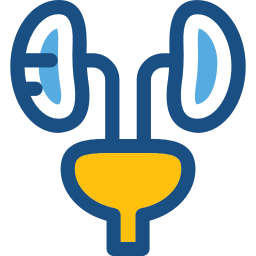 urologie Prosymbols Duotone icoon