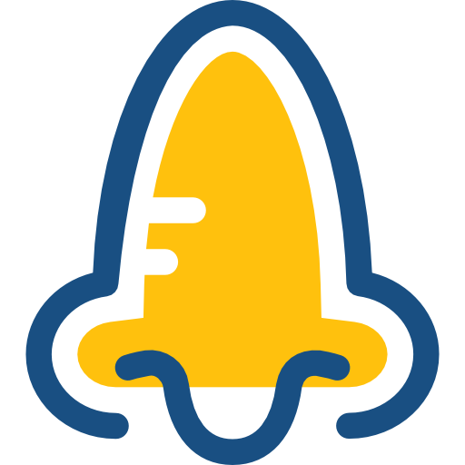 nase Prosymbols Duotone icon