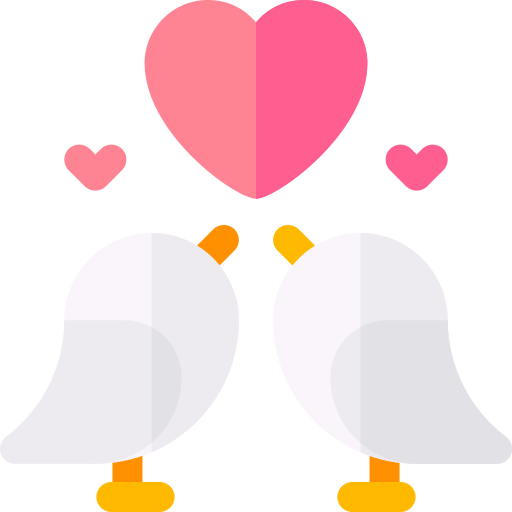 Love birds Basic Rounded Flat icon