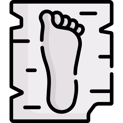 Footprint Special Lineal color icon