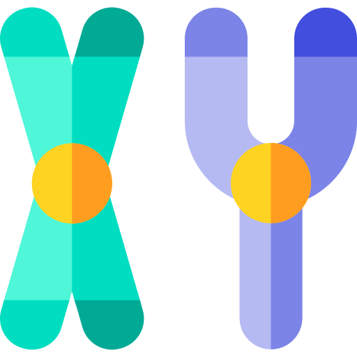 chromosom Basic Rounded Flat icon