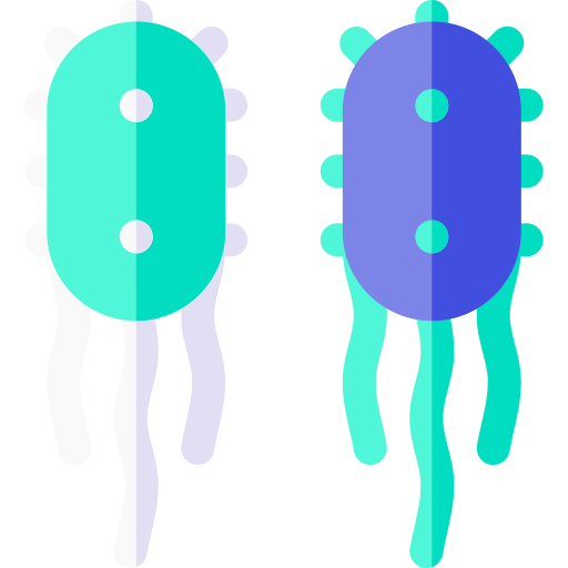 bacteria Basic Rounded Flat icono