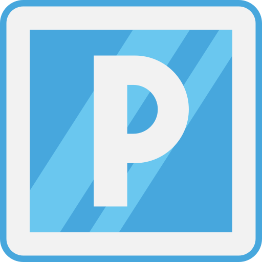 Parking Special Flat icon