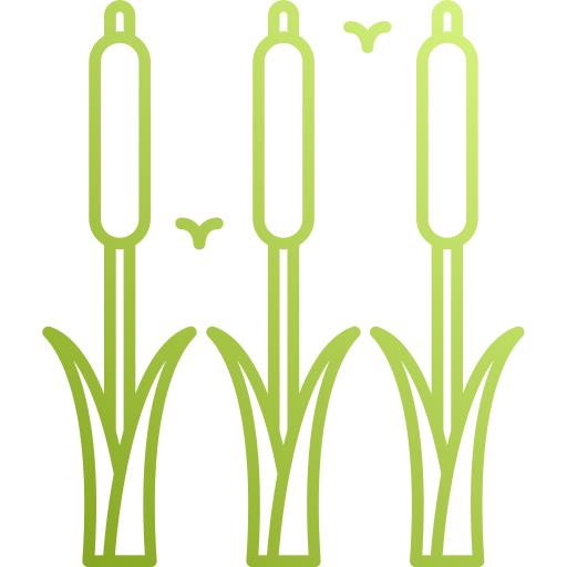 Reeds Generic Gradient icon
