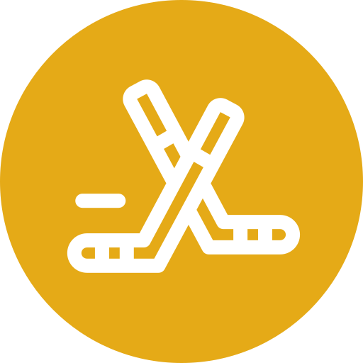 hockey-puck Generic Flat icon