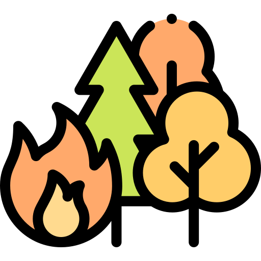 Forest fire Detailed Rounded Lineal color icon
