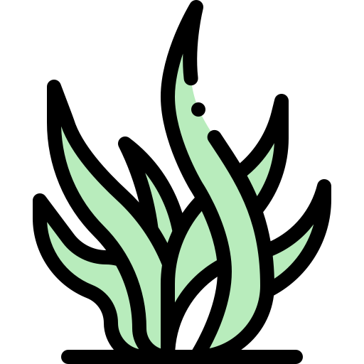 海藻 Detailed Rounded Lineal color icon